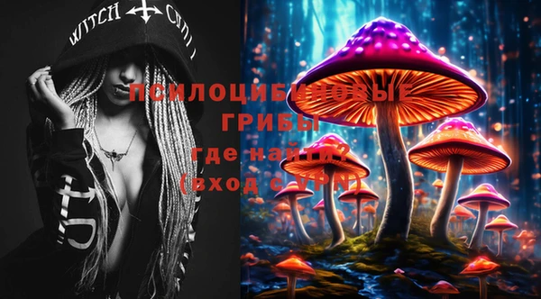 метадон Балахна